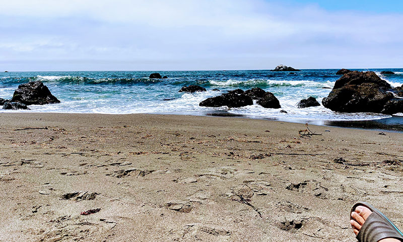 Imagen: Playa en Bodega Bay, California. Foto de la colección personal del autor