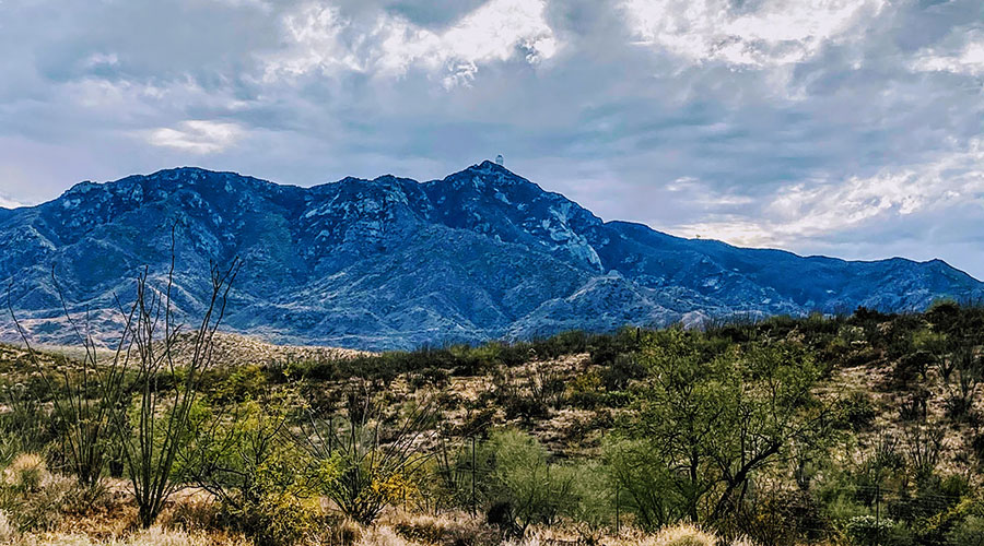 Paisaje arizonense sobre la carretera Tucson-Ajo Highway.